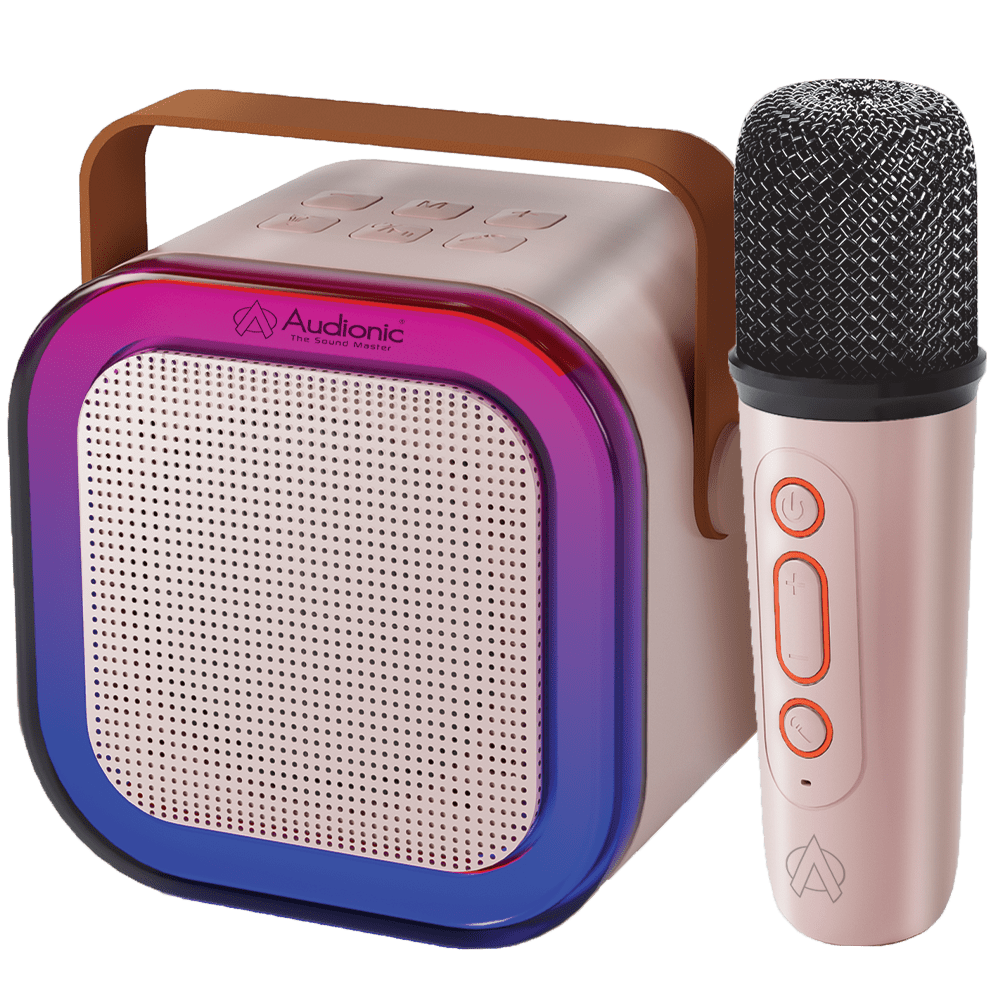 Boom Box 102 Speaker - Audionic