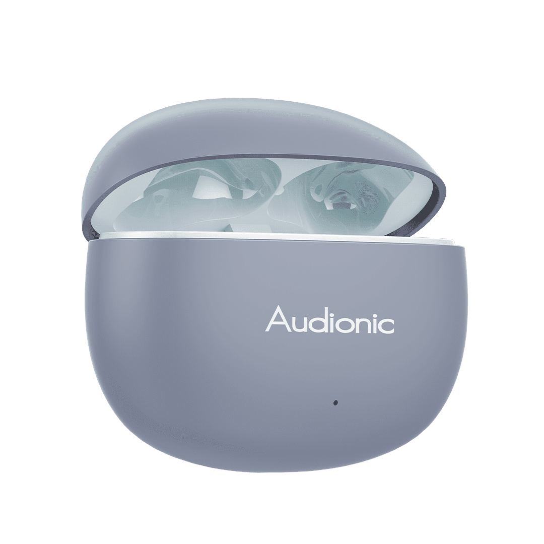 Airbud 495 - Audionic