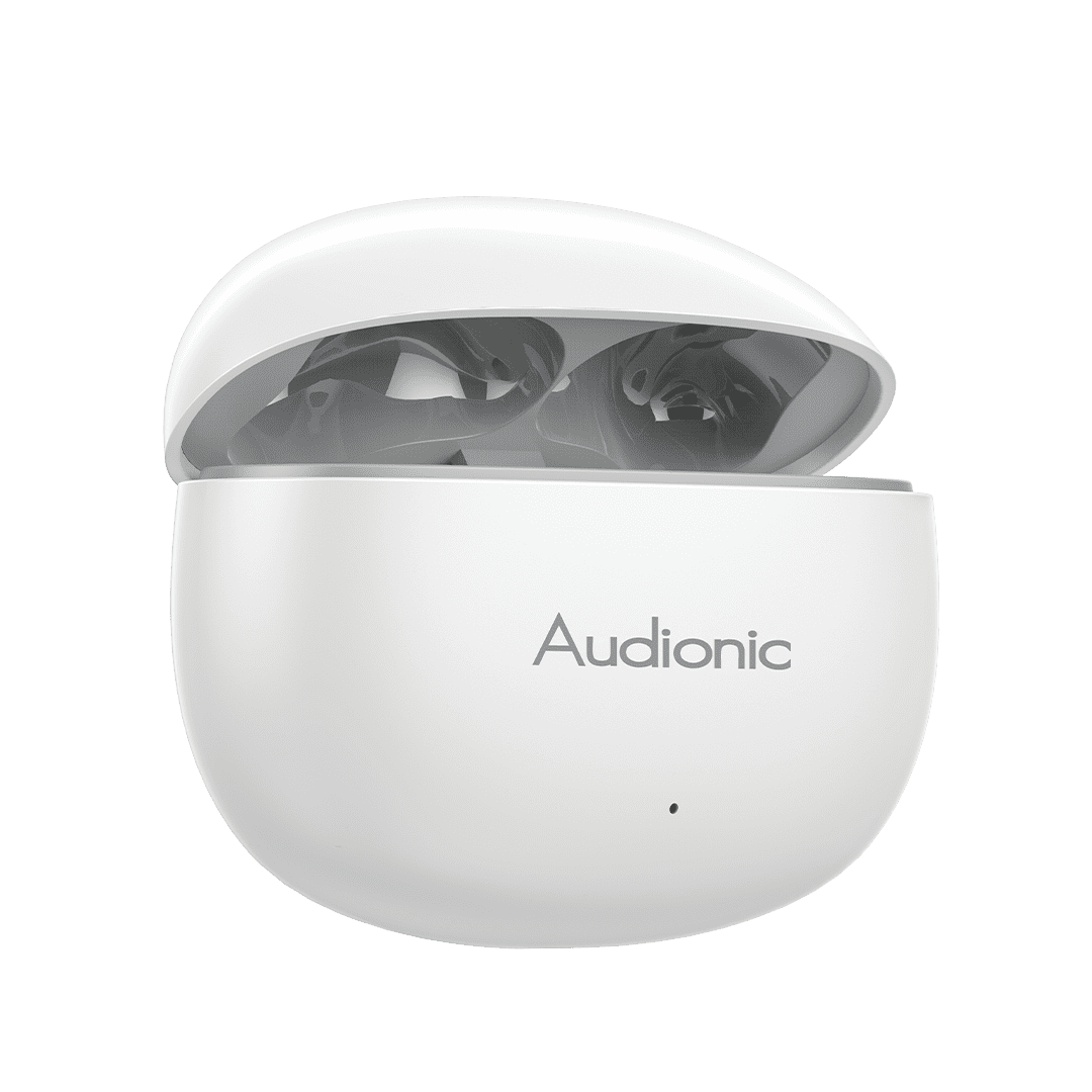 Airbud 495 - Audionic