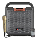 MEHFIL MH-10 - Audionic - The Sound Master