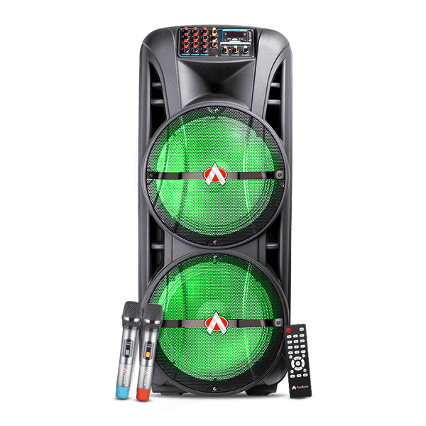 Audionic big top speakers