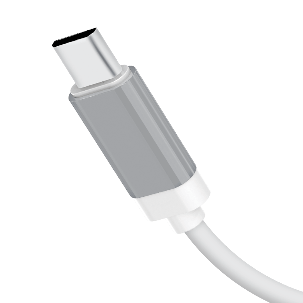 S-80 Type C 2.1 USB Port Charger - Audionic